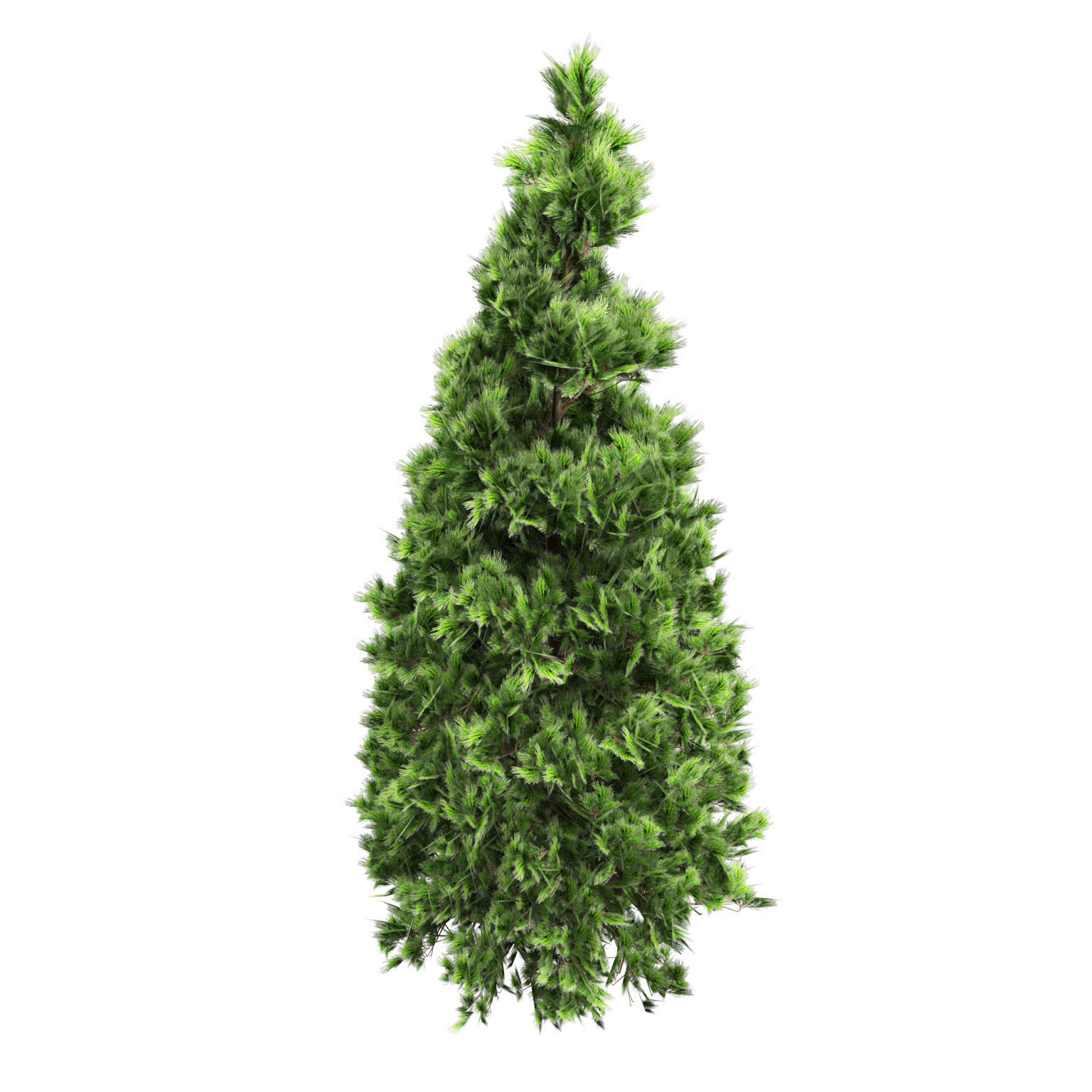 Green and snow covered spruce trees pack Low-poly 3D model_7