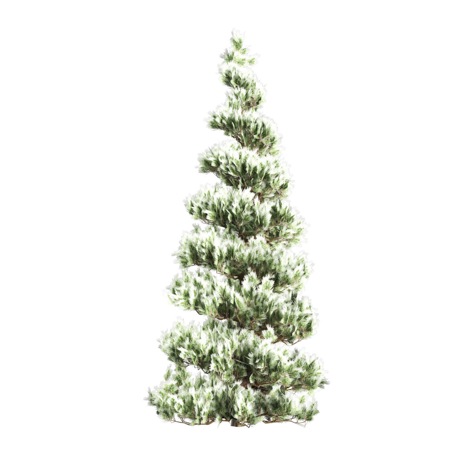 Green and snow covered spruce trees pack Low-poly 3D model_10