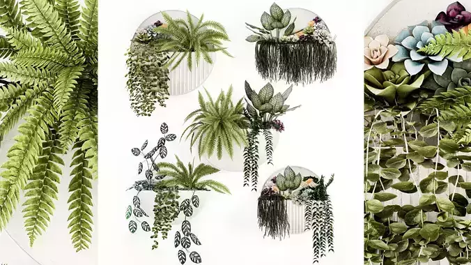Vertical Gardening Potted Succulents Hanging Plants Fern 1447 3D model