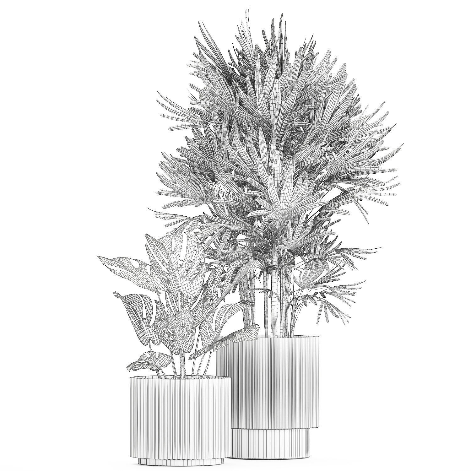 Small white potted plants Monstera Raphis palm 1448 3D model_13