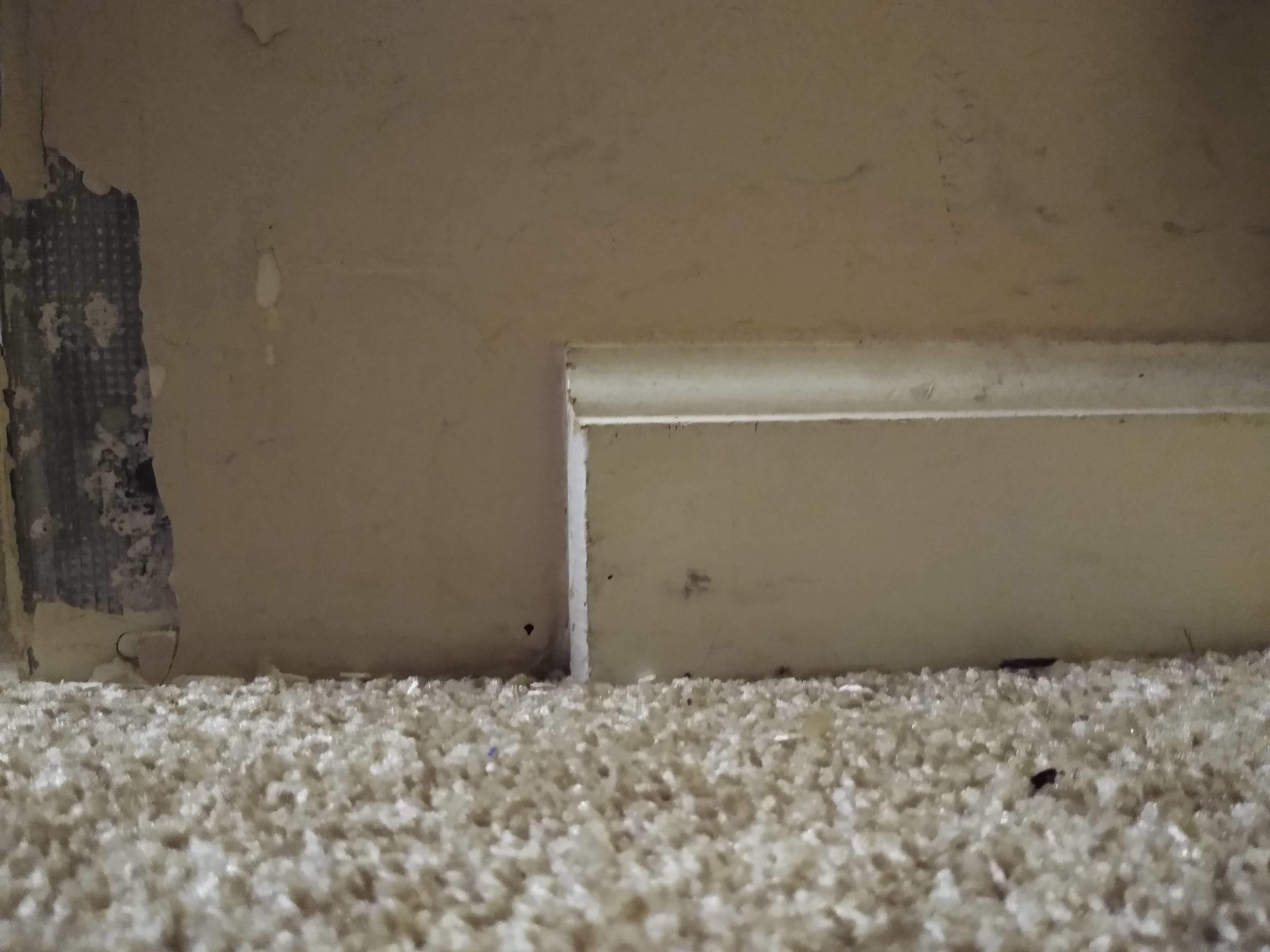 Flat Door Stopper 3D print model_2