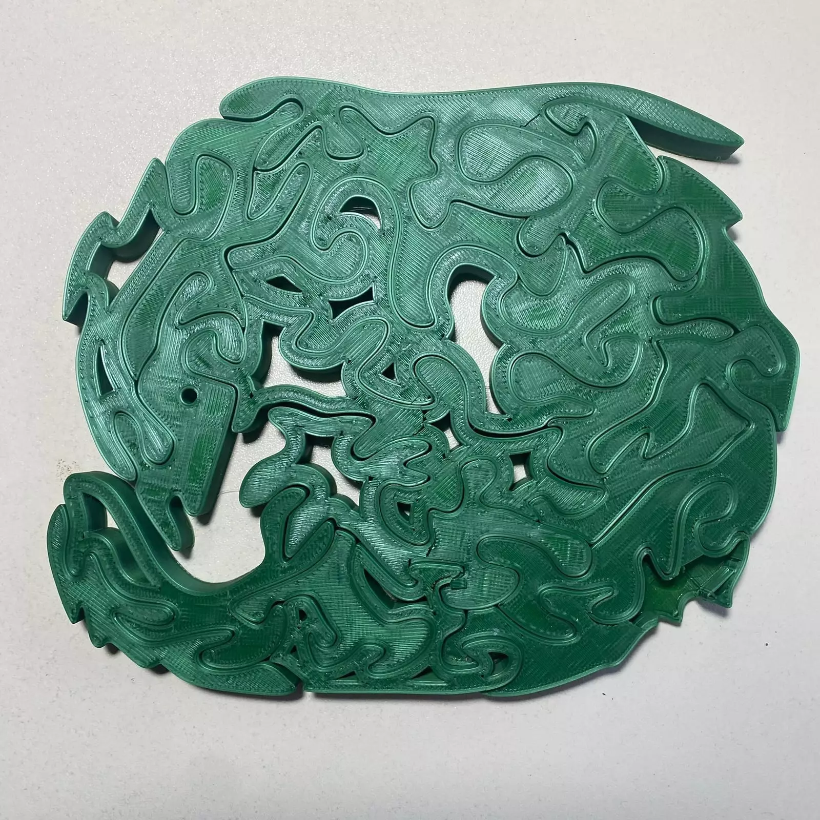 Dolphin Puzzle Free 3D print model