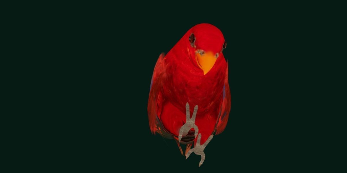 Red Lory Parrot Flamboyant Bird Low-poly 3D model_21