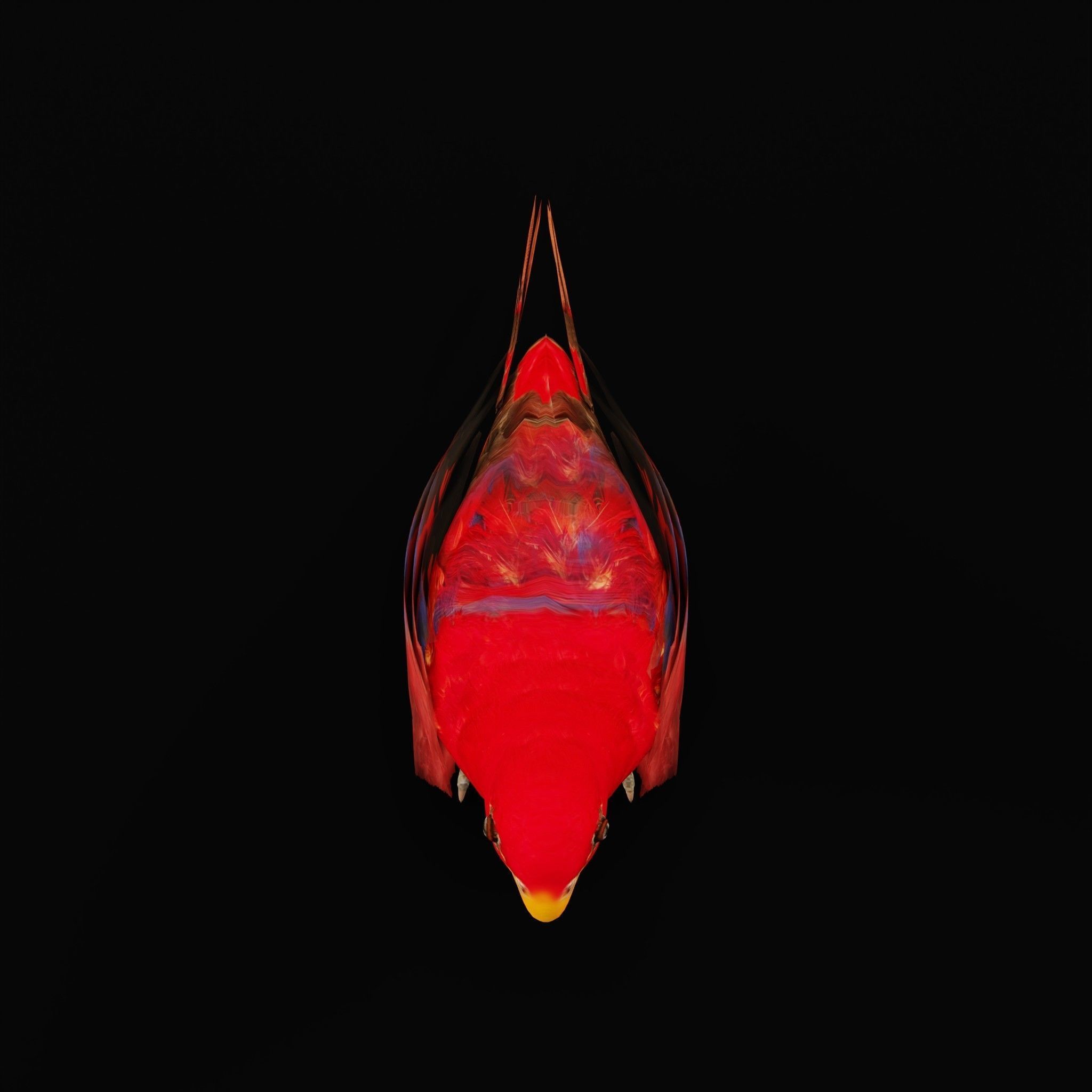 Red Lory Parrot Flamboyant Bird Low-poly 3D model_5