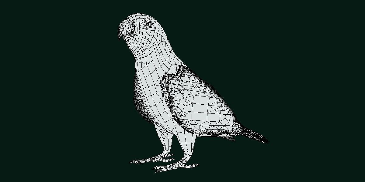 Red Lory Parrot Flamboyant Bird Low-poly 3D model_12