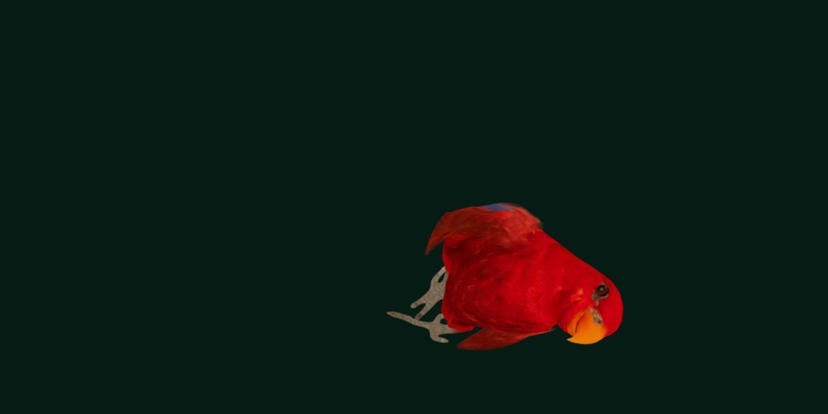 Red Lory Parrot Flamboyant Bird Low-poly 3D model_17