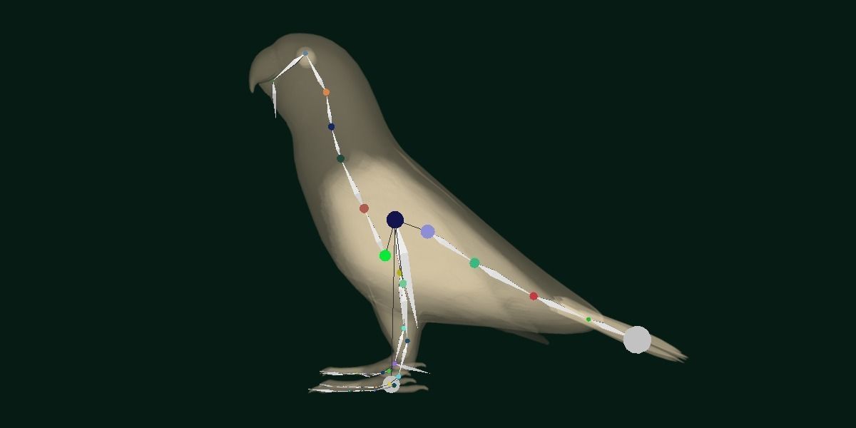 Red Lory Parrot Flamboyant Bird Low-poly 3D model_8