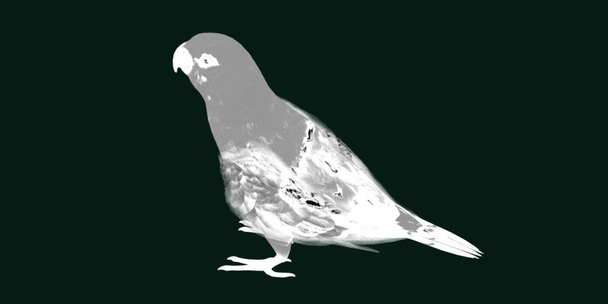 Red Lory Parrot Flamboyant Bird Low-poly 3D model_30