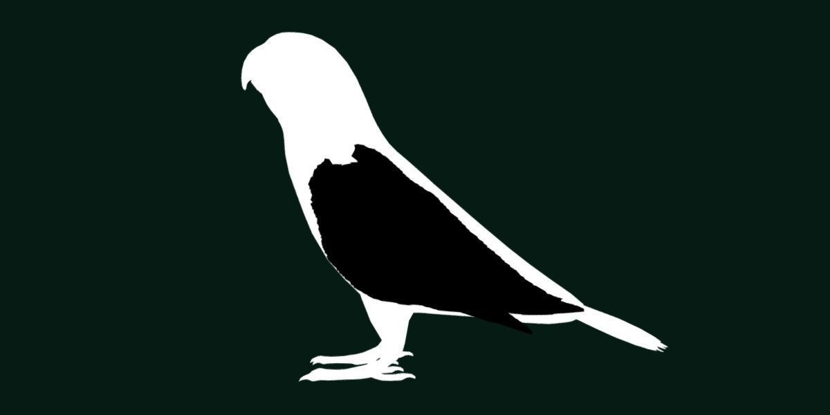 Red Lory Parrot Flamboyant Bird Low-poly 3D model_27