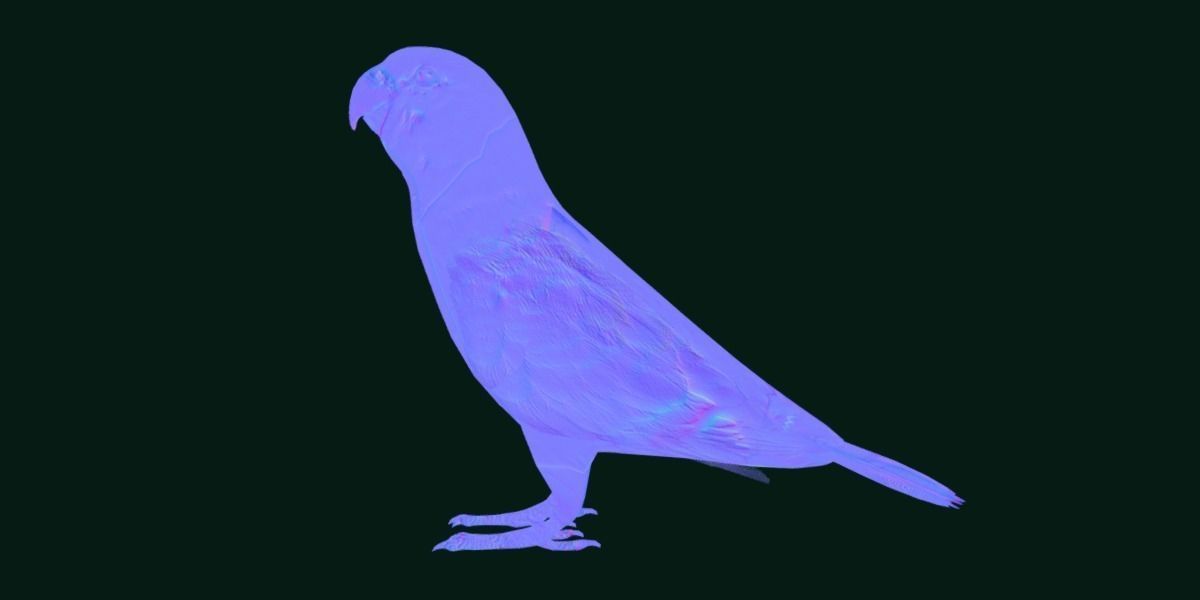 Red Lory Parrot Flamboyant Bird Low-poly 3D model_25