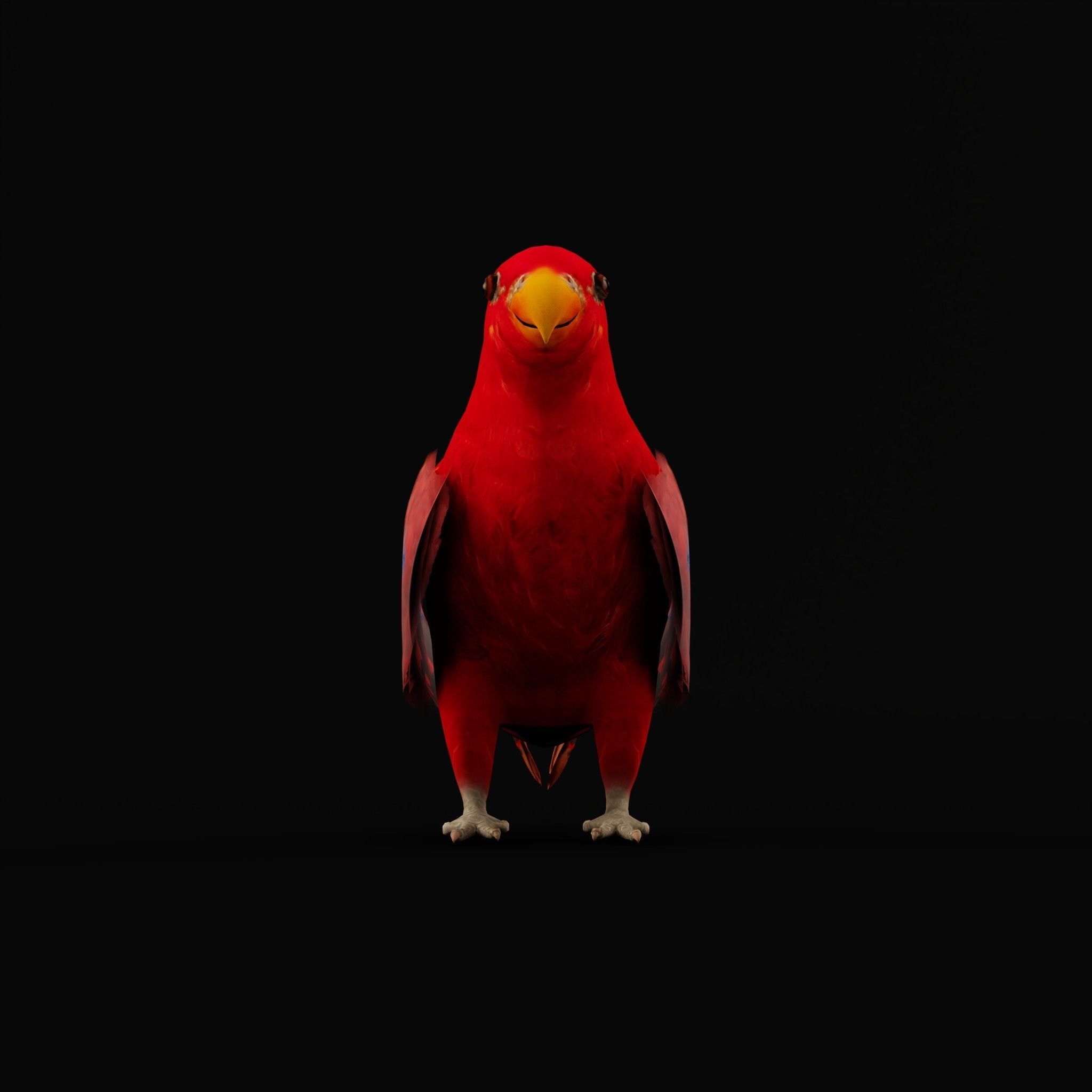 Red Lory Parrot Flamboyant Bird Low-poly 3D model_4