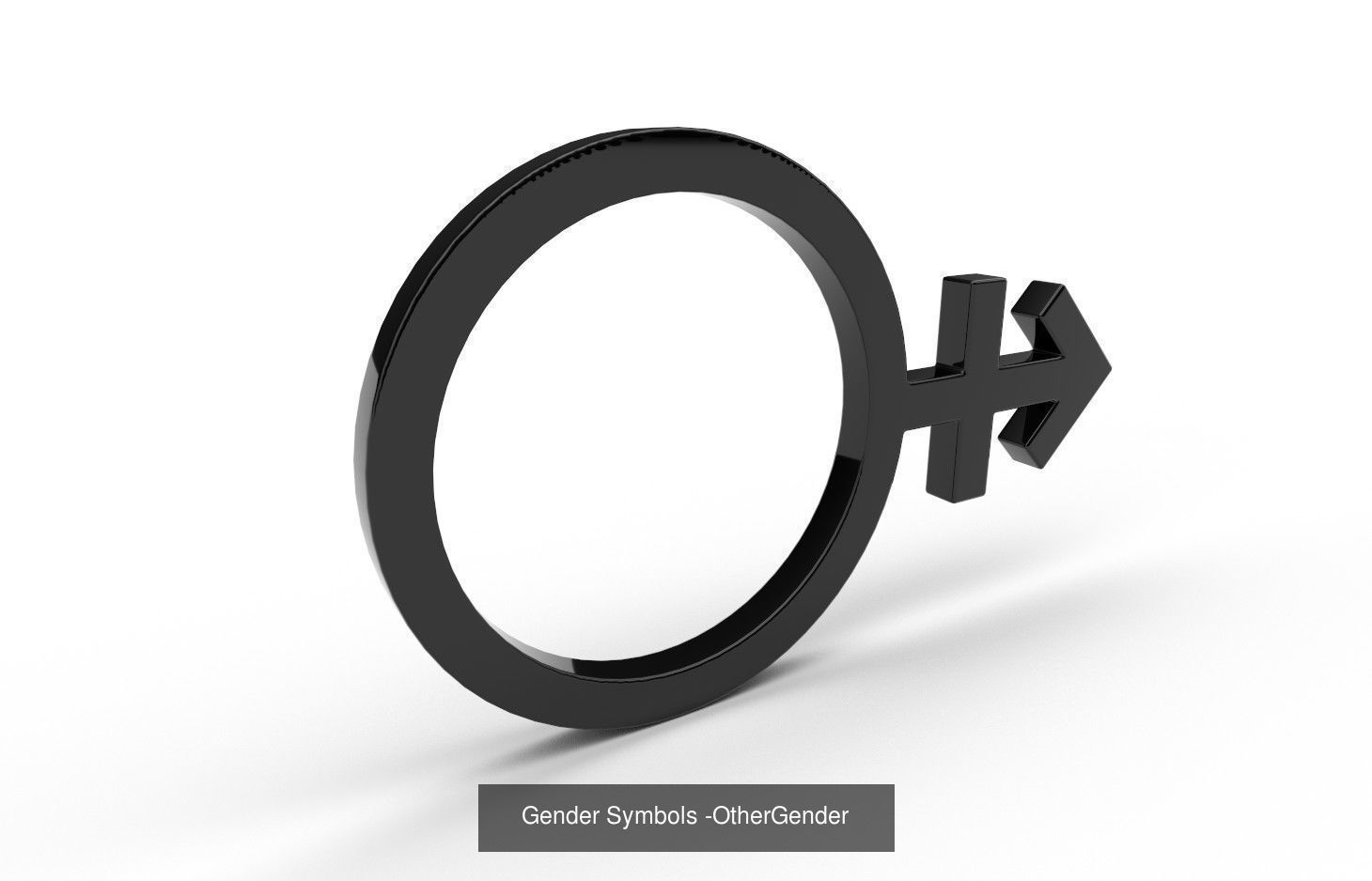 Gender Symbols - 24 Models 3D Model Collection_4