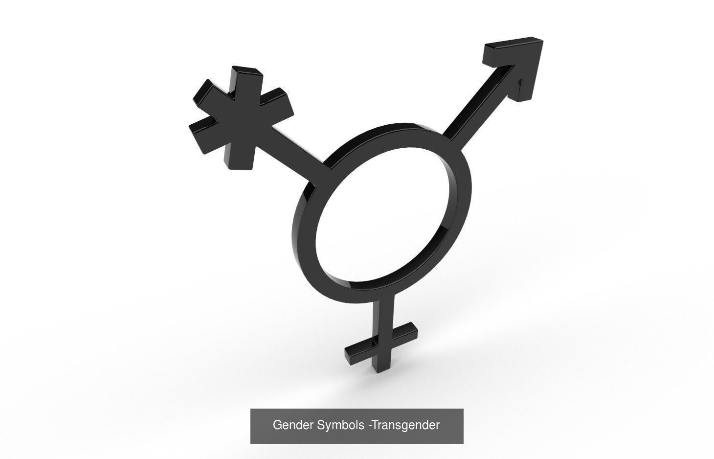 Gender Symbols - 24 Models 3D Model Collection_3