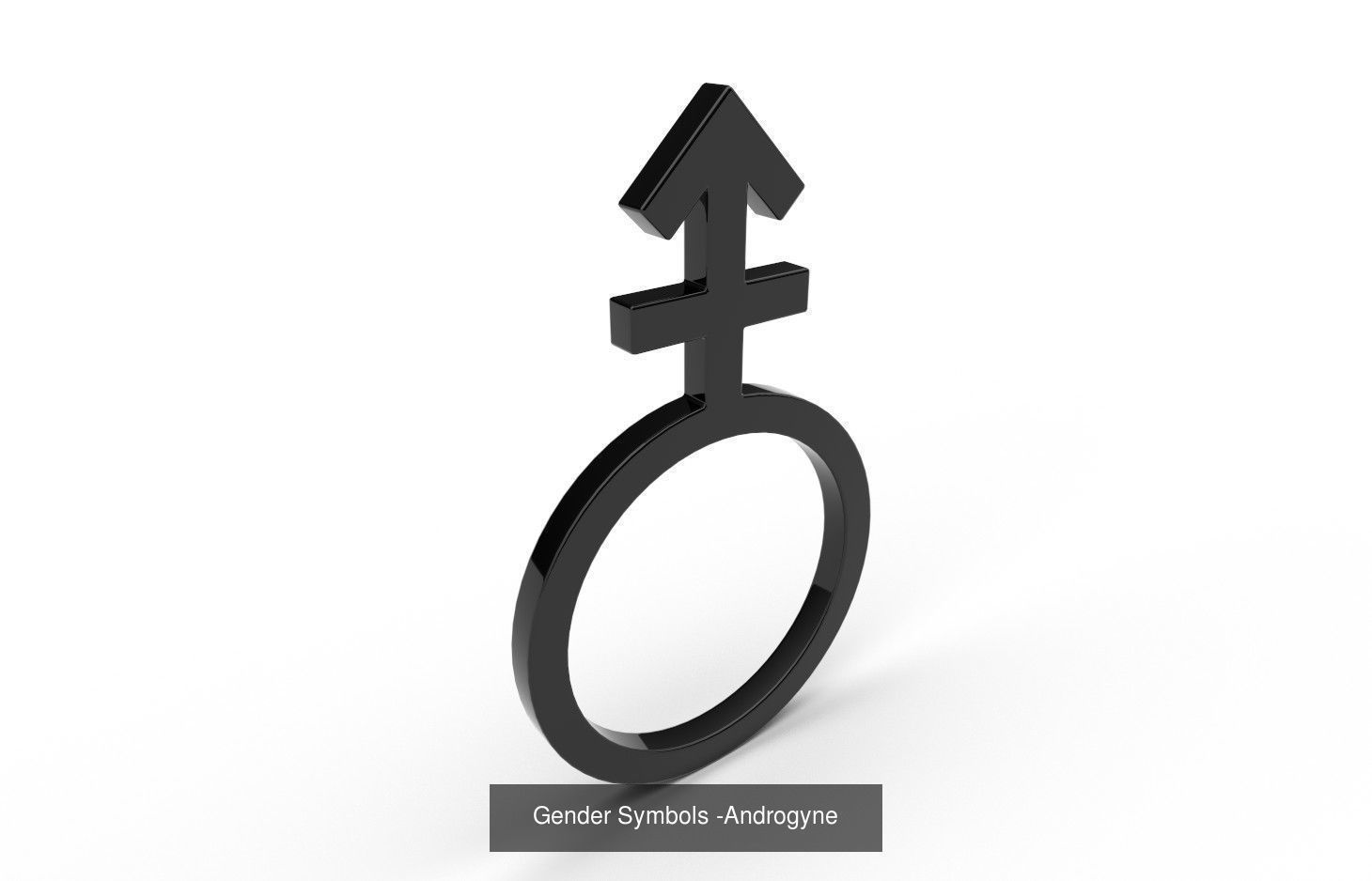 Gender Symbols - 24 Models 3D Model Collection_23