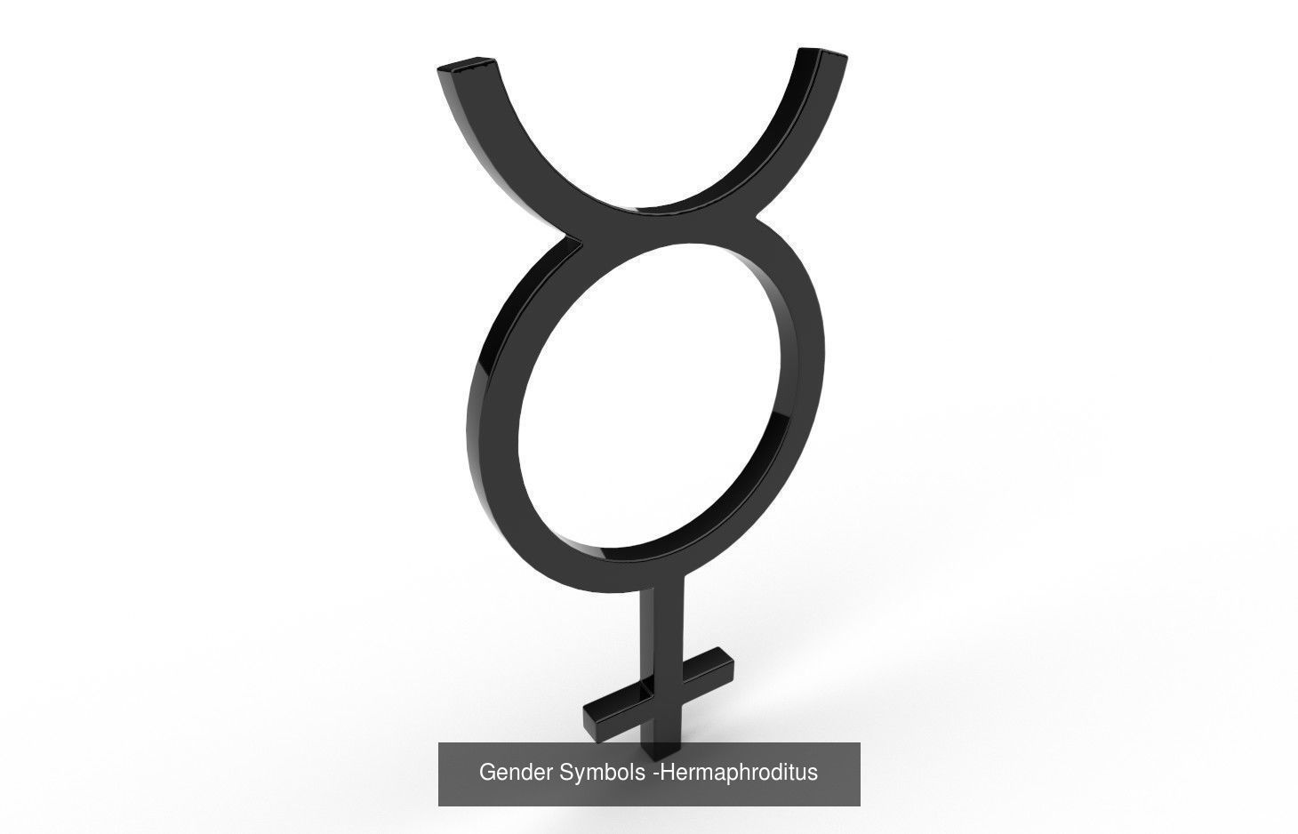 Gender Symbols - 24 Models 3D Model Collection_12