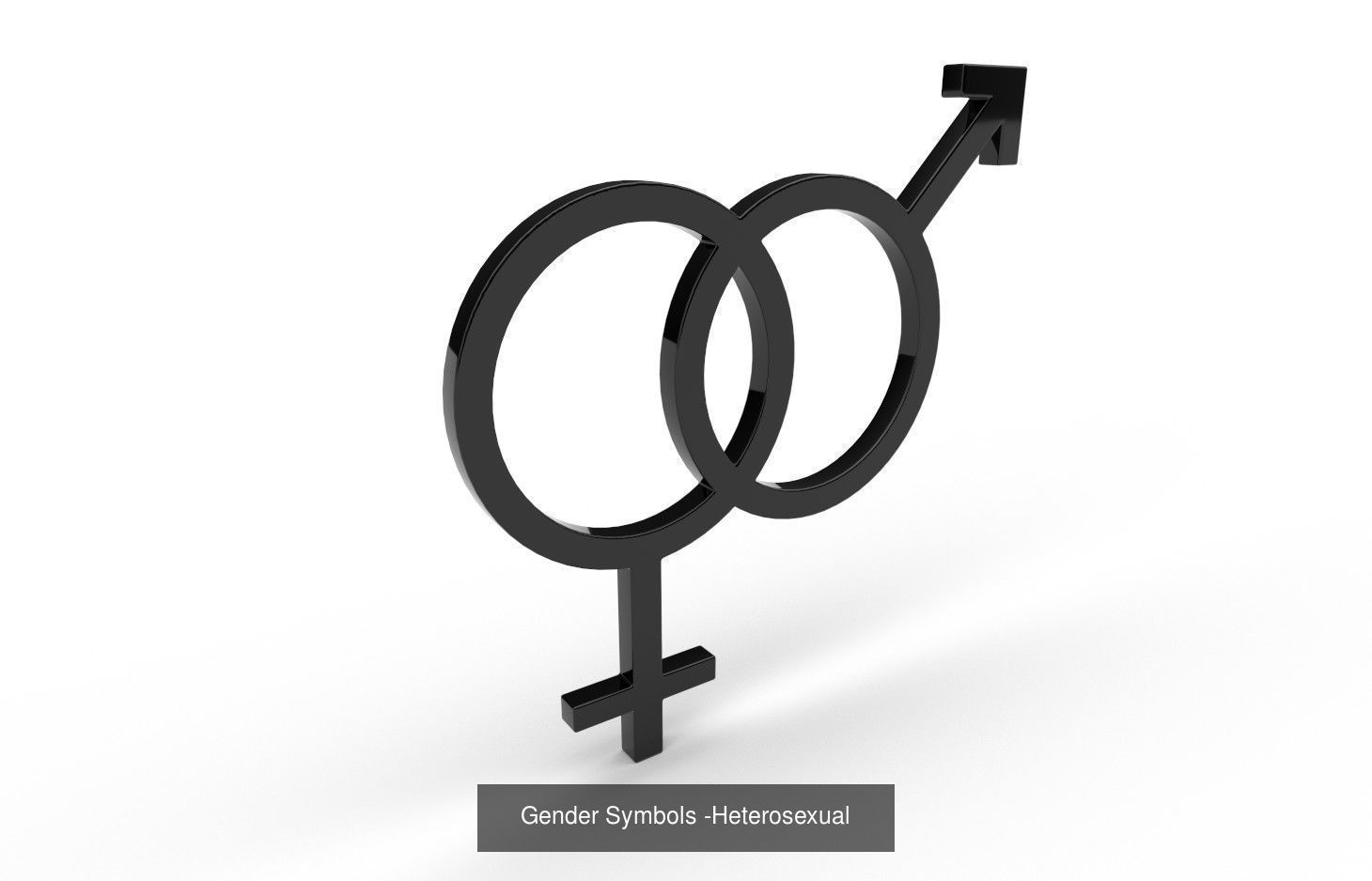 Gender Symbols - 24 Models 3D Model Collection_11