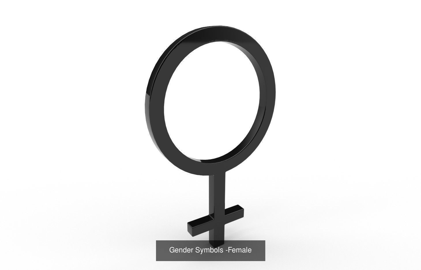 Gender Symbols - 24 Models 3D Model Collection_17