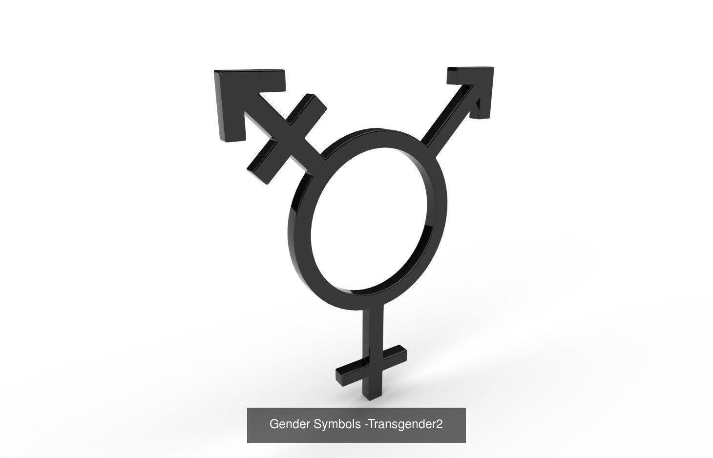 Gender Symbols - 24 Models 3D Model Collection_2