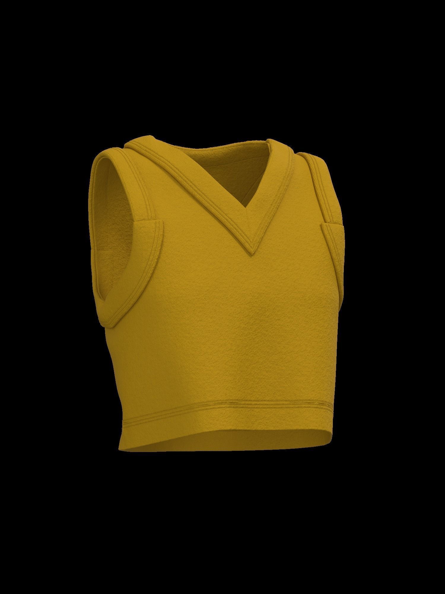 Female sweater vest 3D model_1