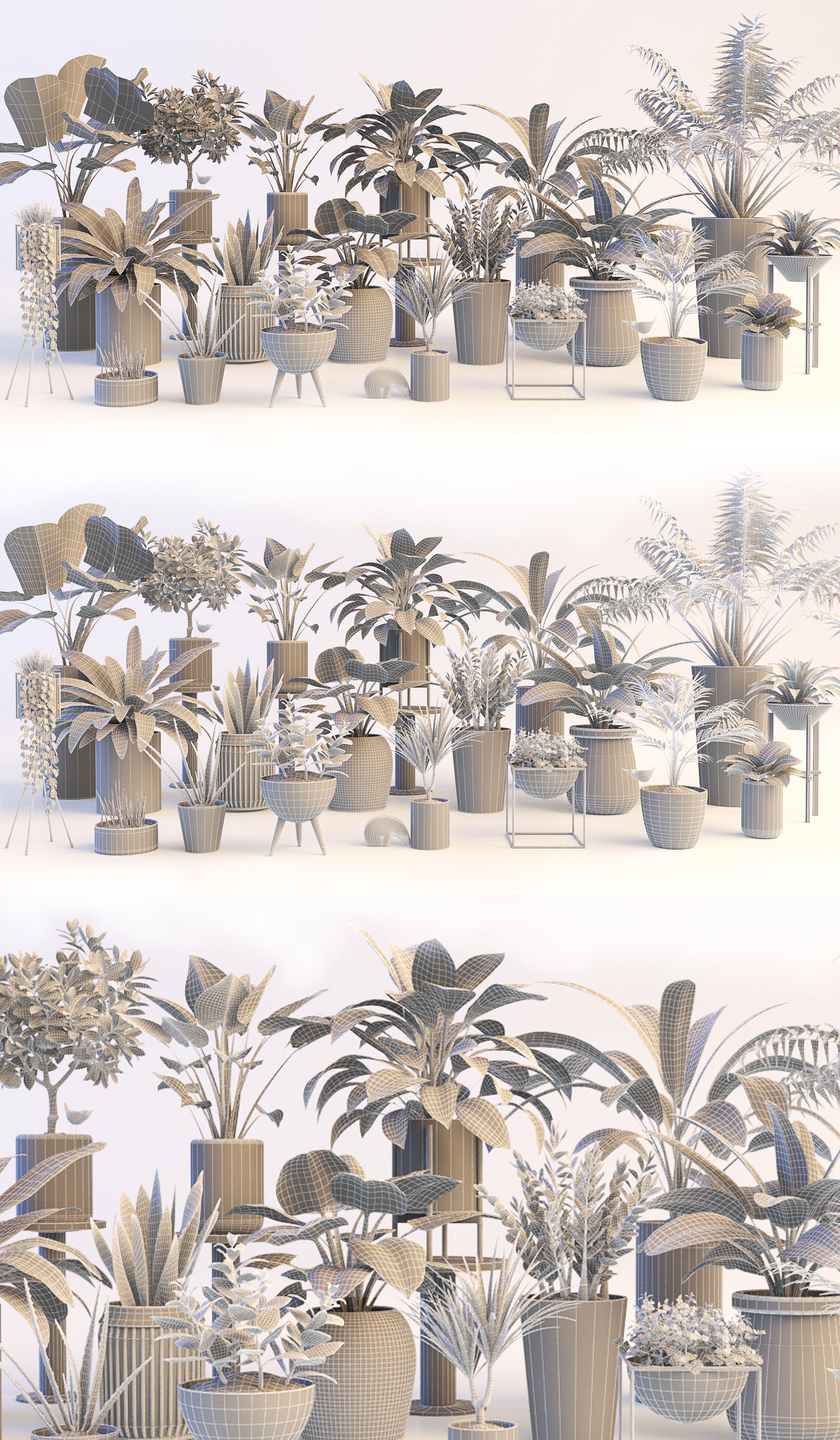 Plants in pots 3D model_3