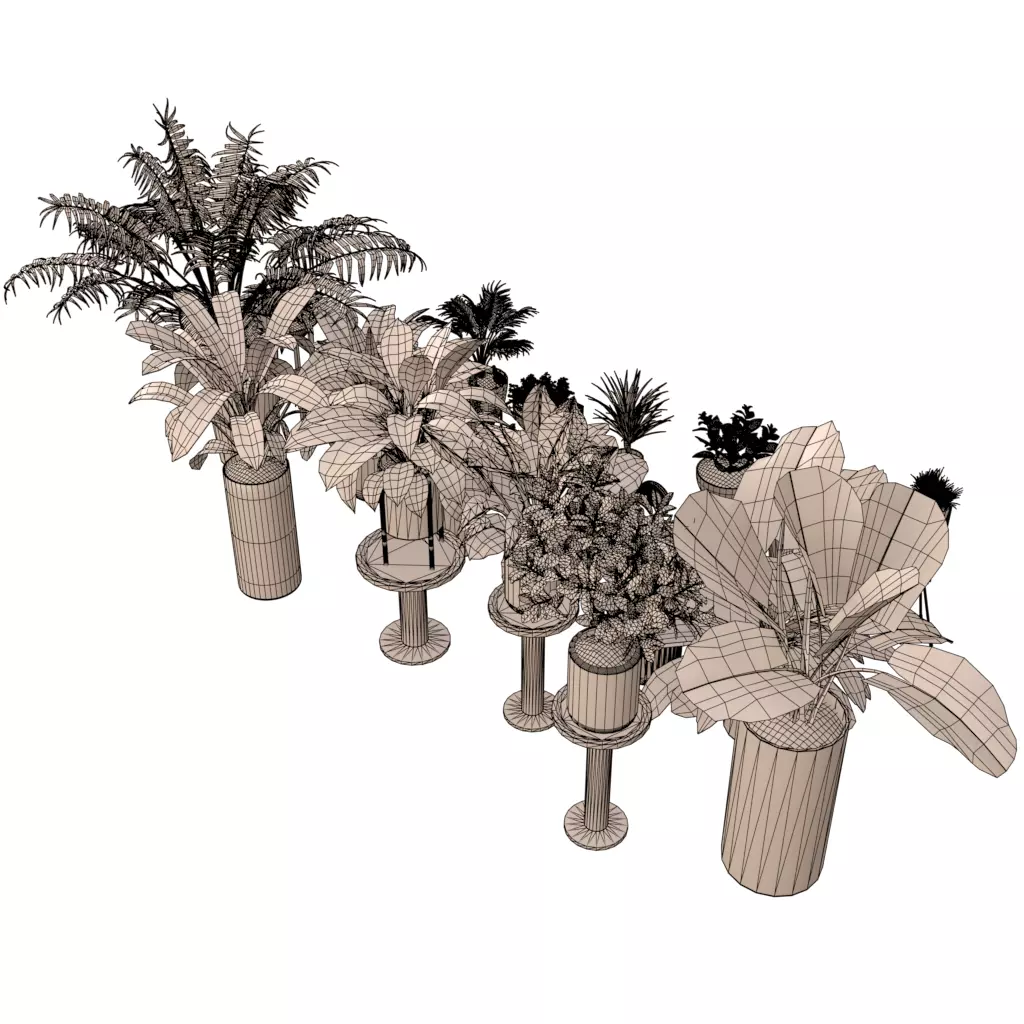 Plants in pots 3D model | CGTrader