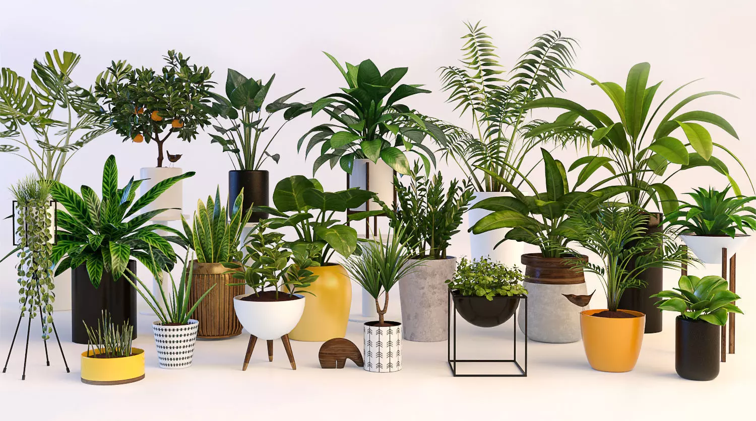 Plants in pots 3D model_0