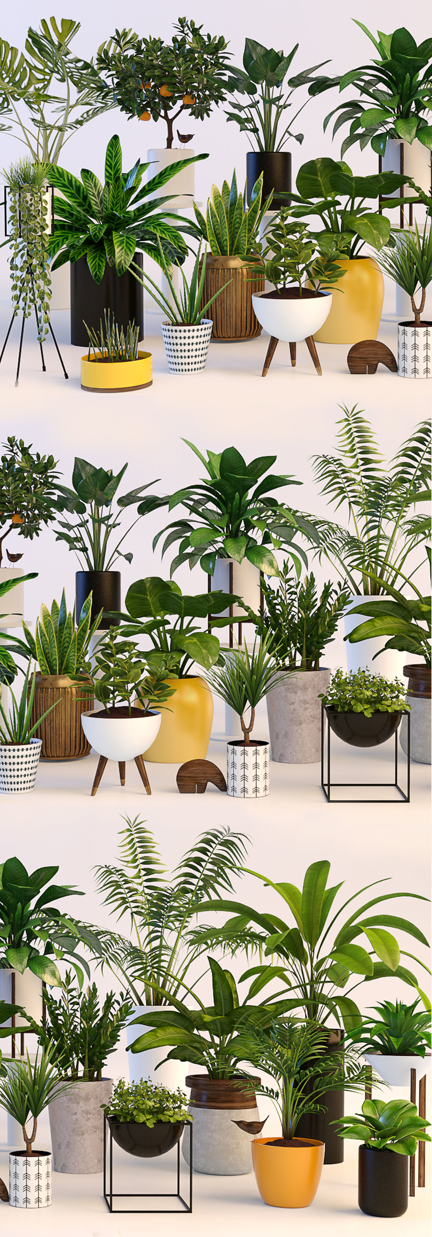 Plants in pots 3D model_2