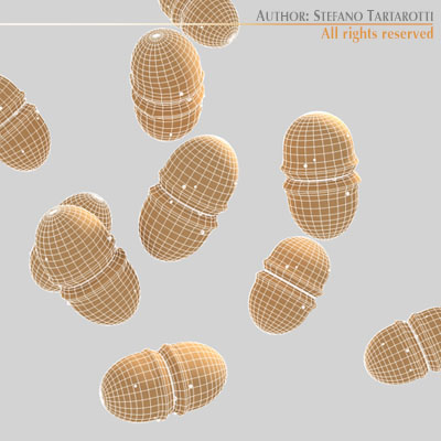 Enterococcus group of microorganisms 3D model_3