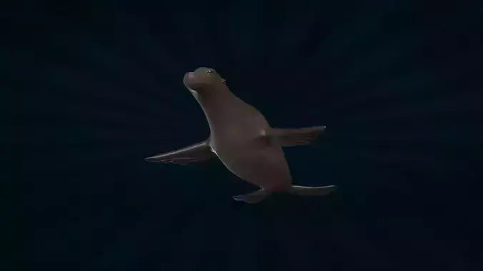 SEAL-001 Rigged Seal