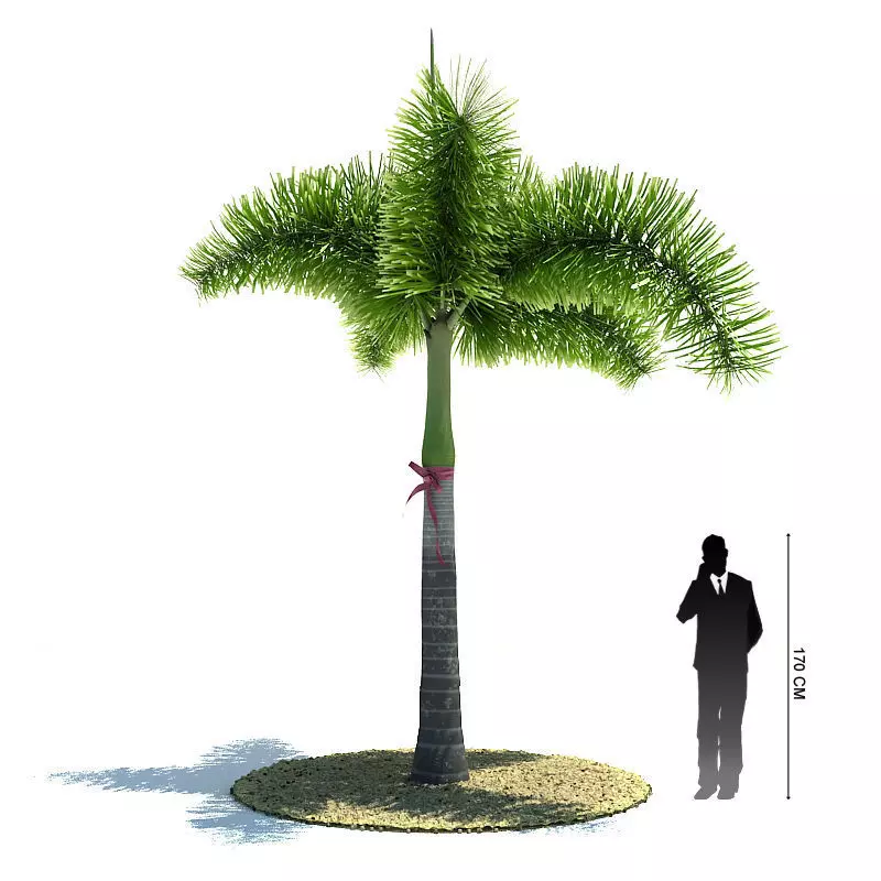 palm tree model 3D model_0