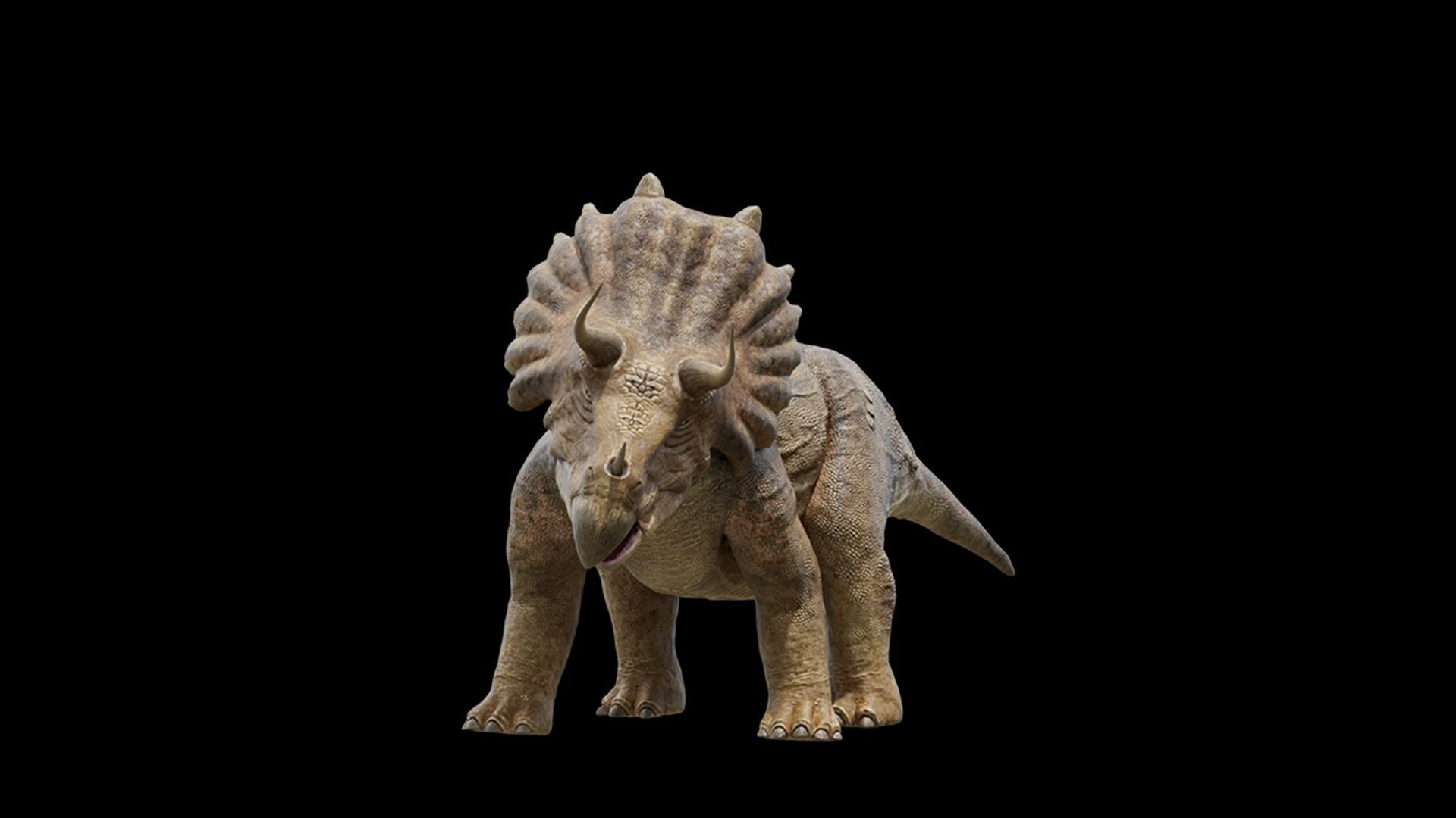 Monster Triceratops - Prehistoric Dinosaurs Low-poly 3D model_5