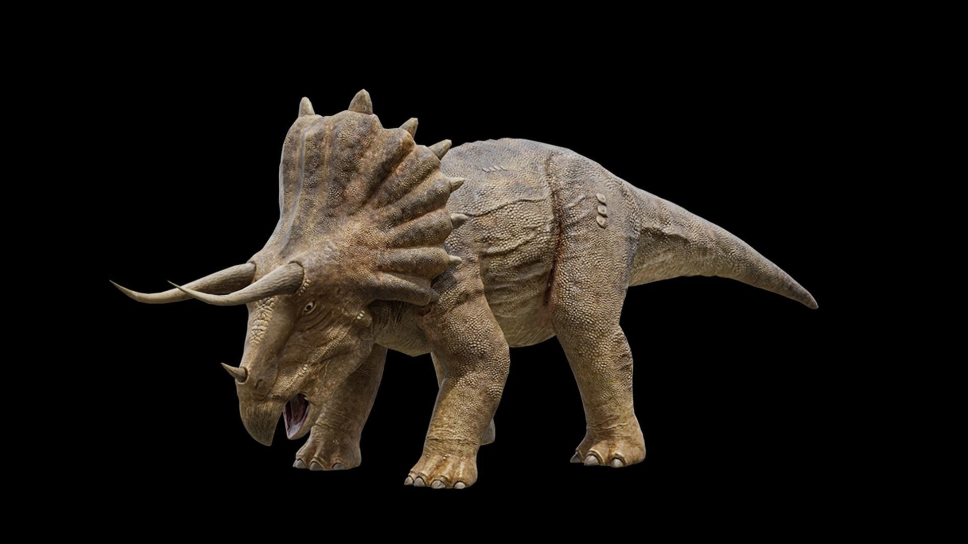 Monster Triceratops - Prehistoric Dinosaurs Low-poly 3D model_14