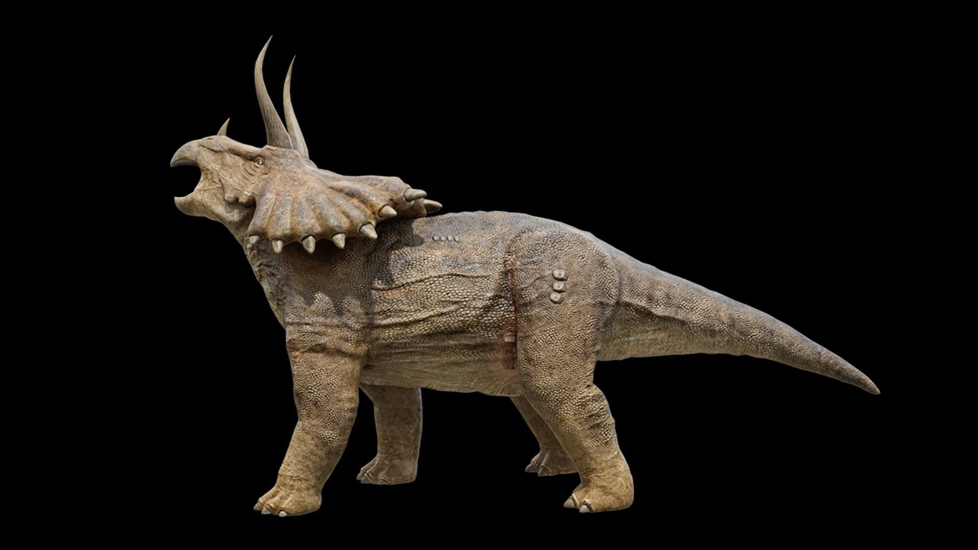 Monster Triceratops - Prehistoric Dinosaurs Low-poly 3D model_30