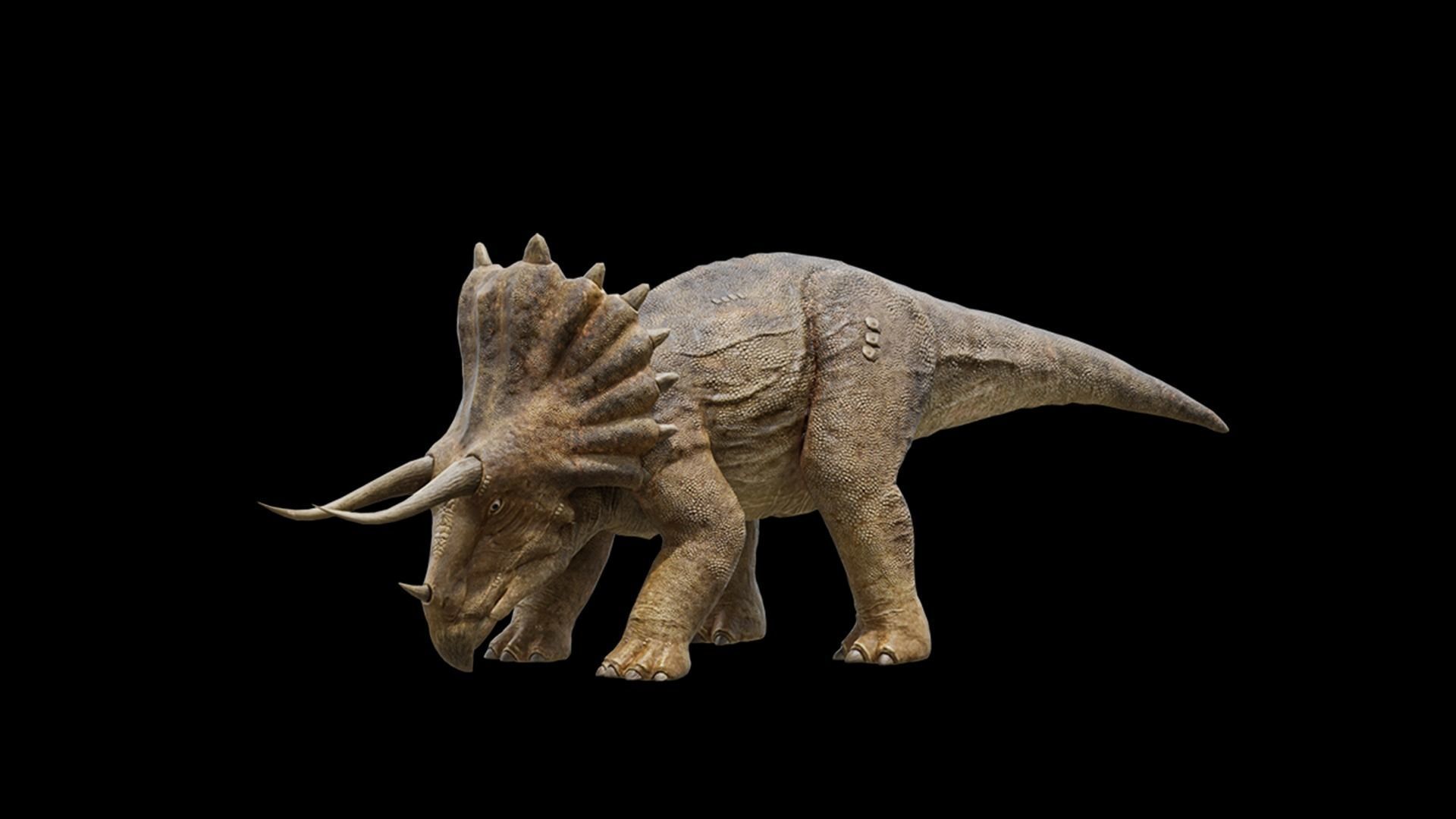 Monster Triceratops - Prehistoric Dinosaurs Low-poly 3D model_13