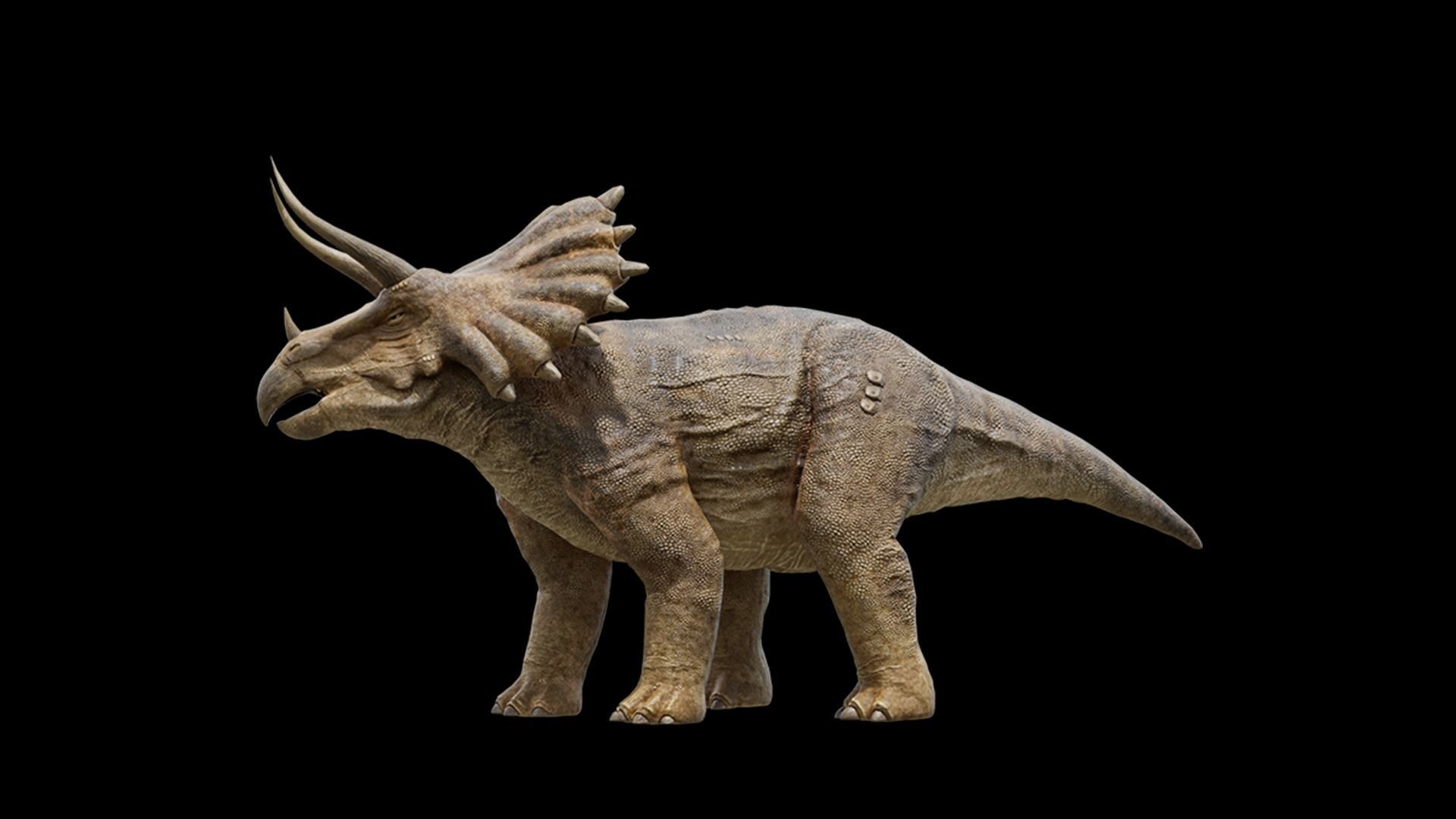 Monster Triceratops - Prehistoric Dinosaurs Low-poly 3D model_29