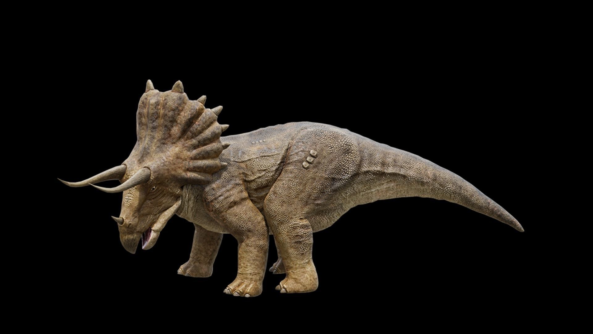 Monster Triceratops - Prehistoric Dinosaurs Low-poly 3D model_35