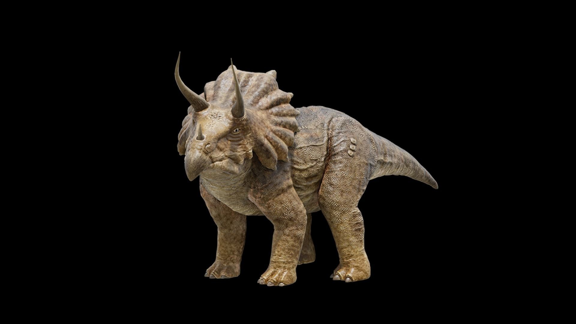 Monster Triceratops - Prehistoric Dinosaurs Low-poly 3D model_8