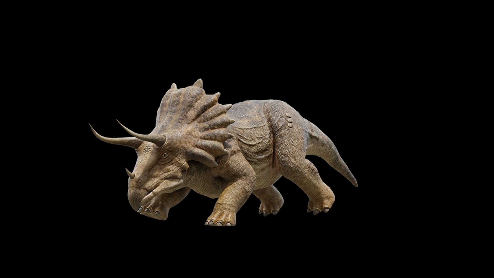 Monster Triceratops - Prehistoric Dinosaurs Low-poly 3D model_26