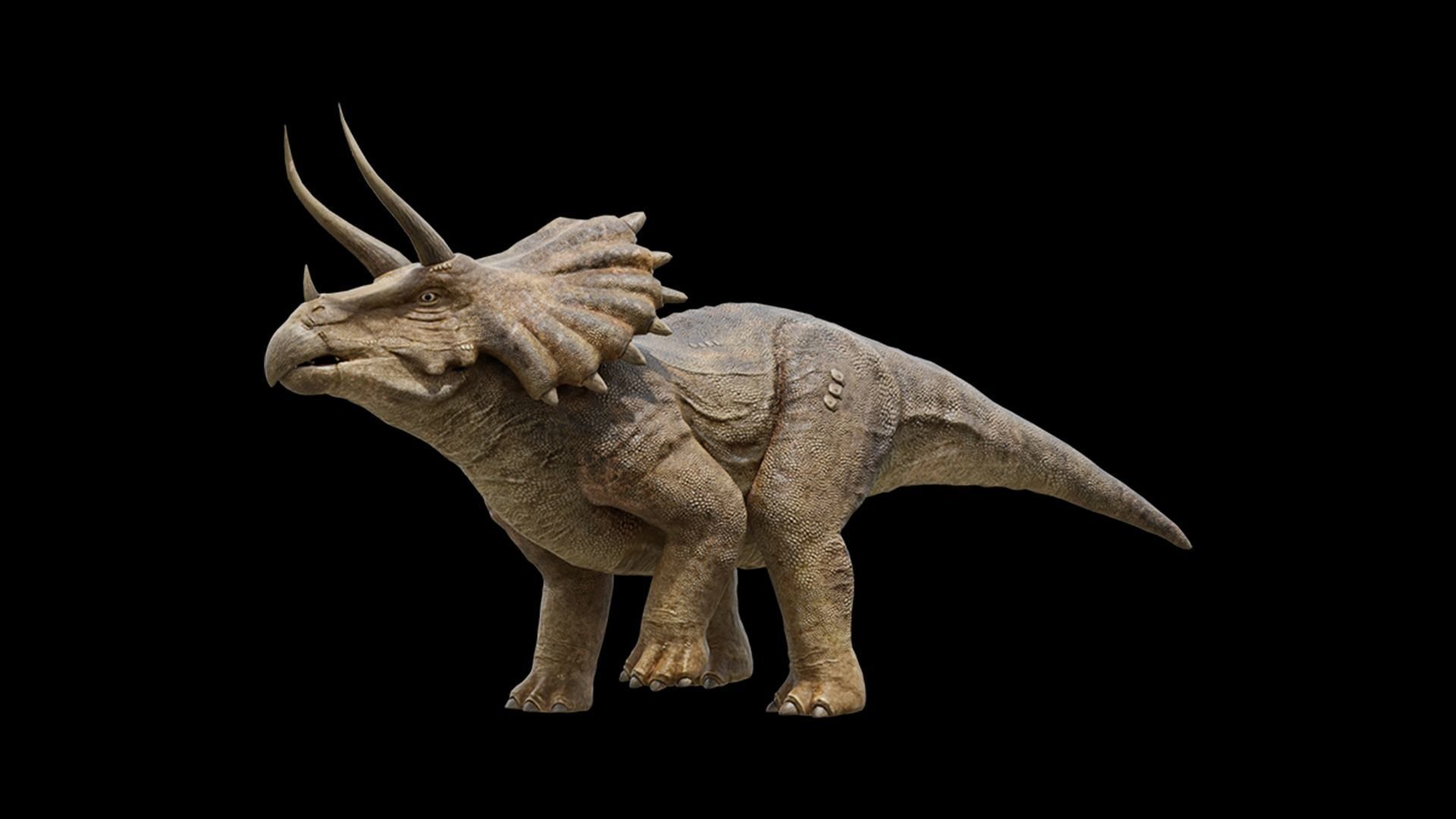 Monster Triceratops - Prehistoric Dinosaurs Low-poly 3D model_24
