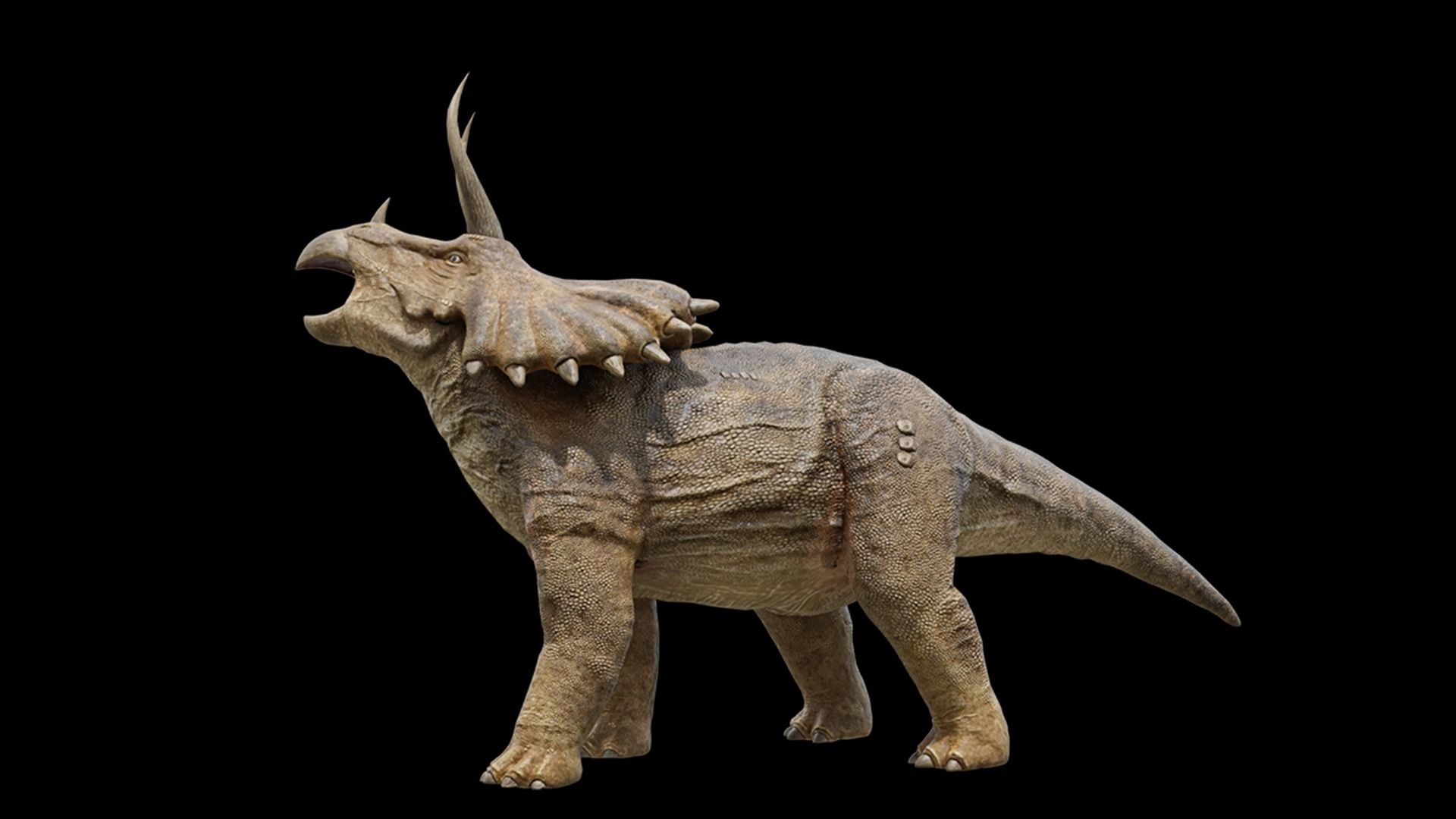 Monster Triceratops - Prehistoric Dinosaurs Low-poly 3D model_15