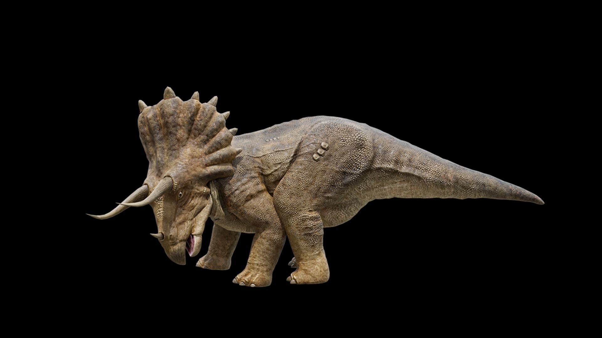 Monster Triceratops - Prehistoric Dinosaurs Low-poly 3D model_34