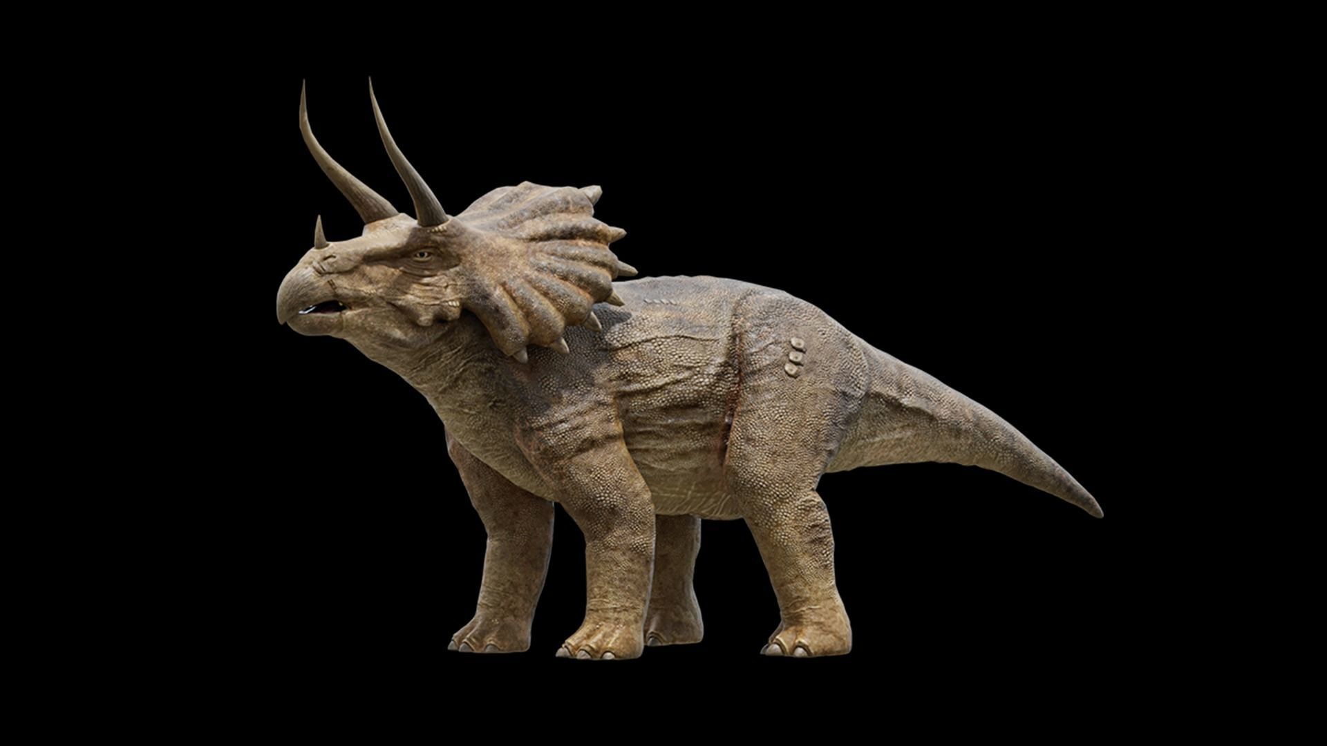 Monster Triceratops - Prehistoric Dinosaurs Low-poly 3D model_10