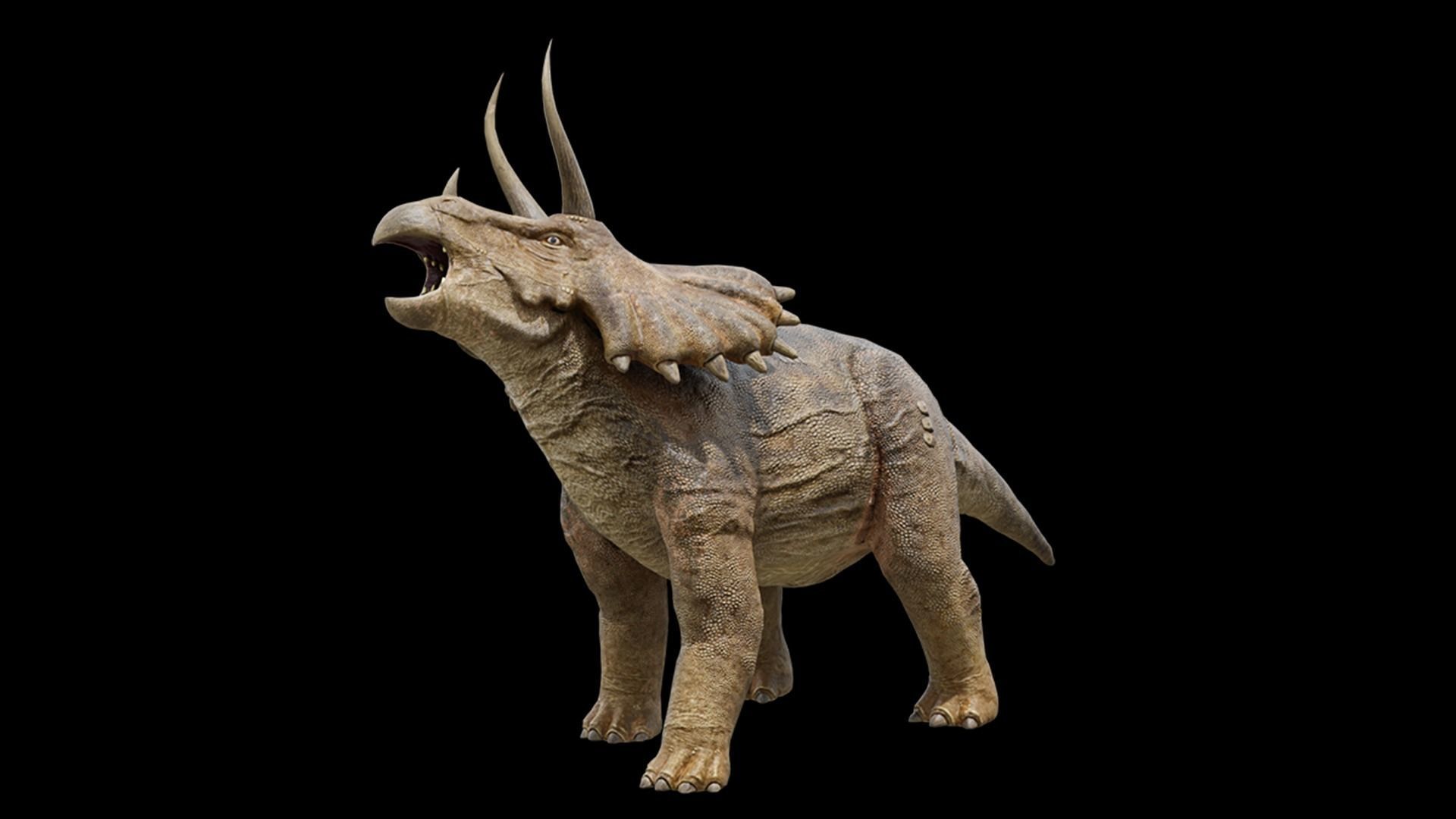 Monster Triceratops - Prehistoric Dinosaurs Low-poly 3D model_16
