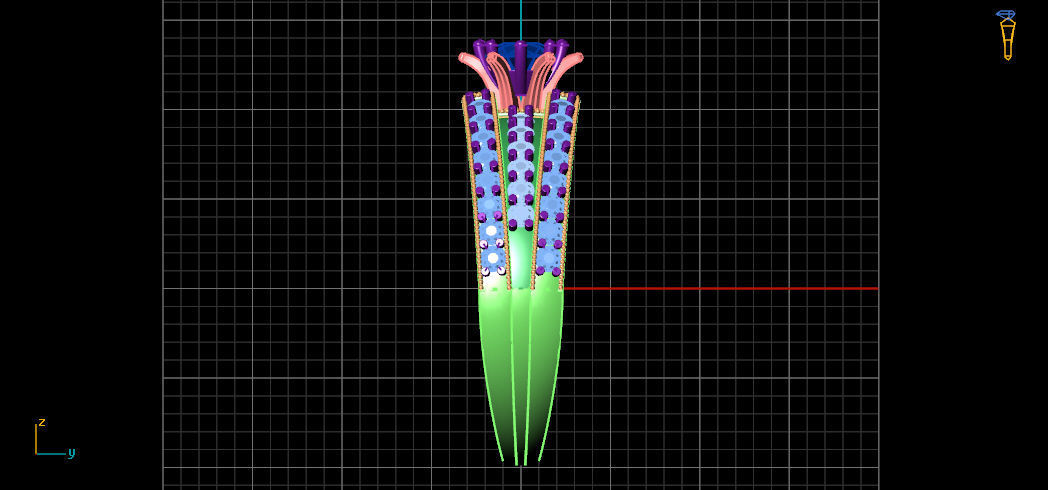 rings 3D print model_1