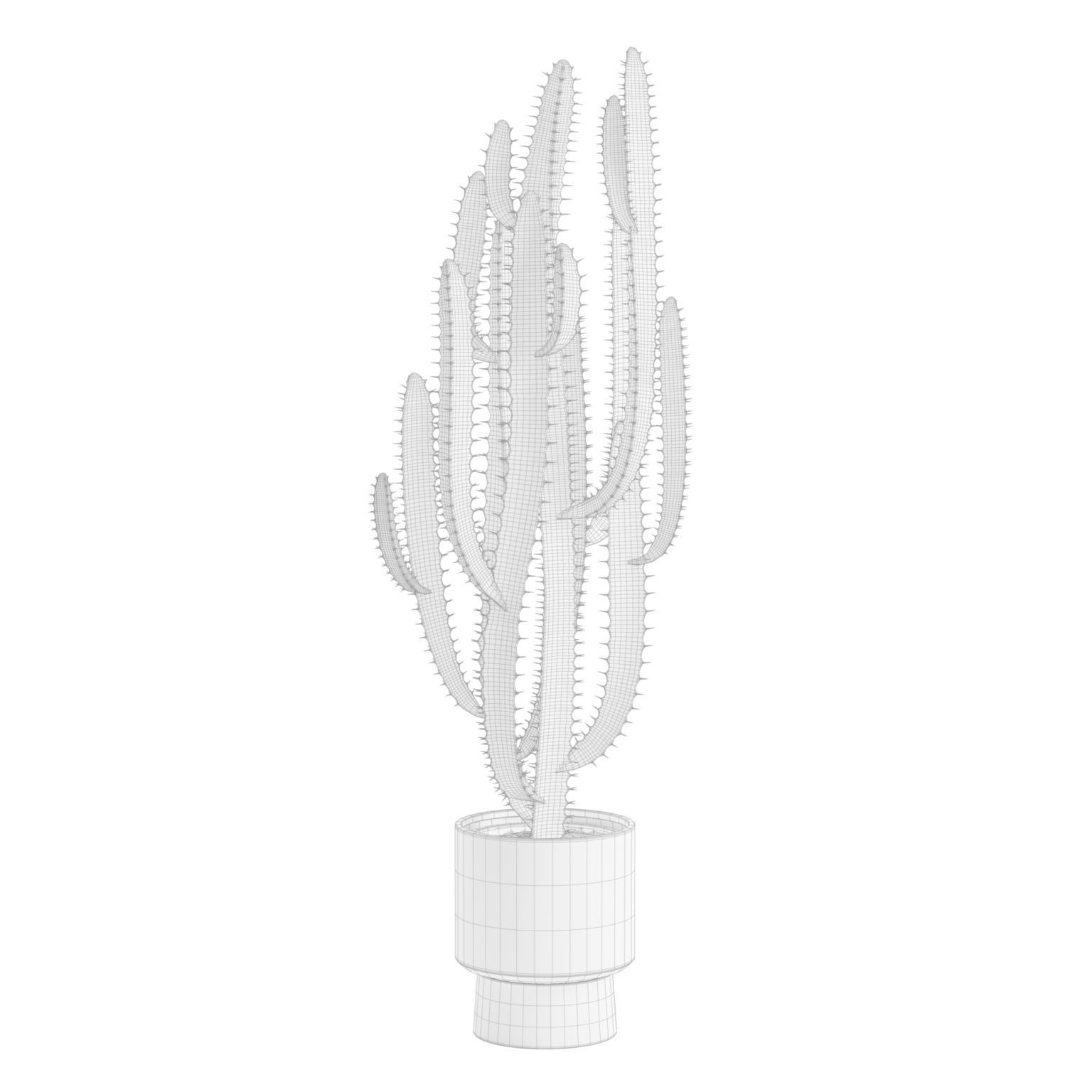 Potted Cactus - Euphorbia Trigona 3D model_2