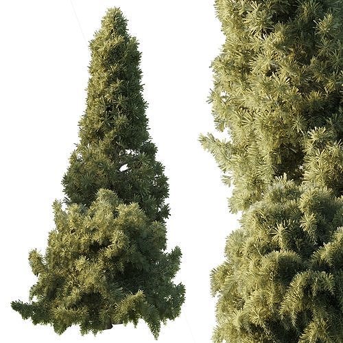 Collection mixed plants bush pine - shrubs set 07 Low-poly 3D model