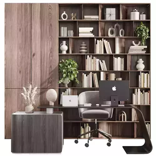 Workplace - Home offfice set - office furniture 