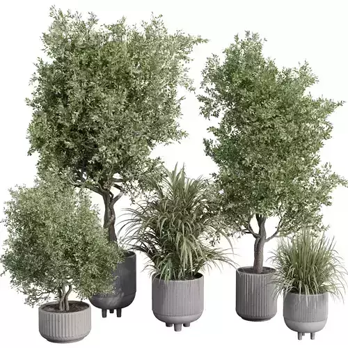 outdoor plant set 180 plant palm tree grass vase dirty concrete