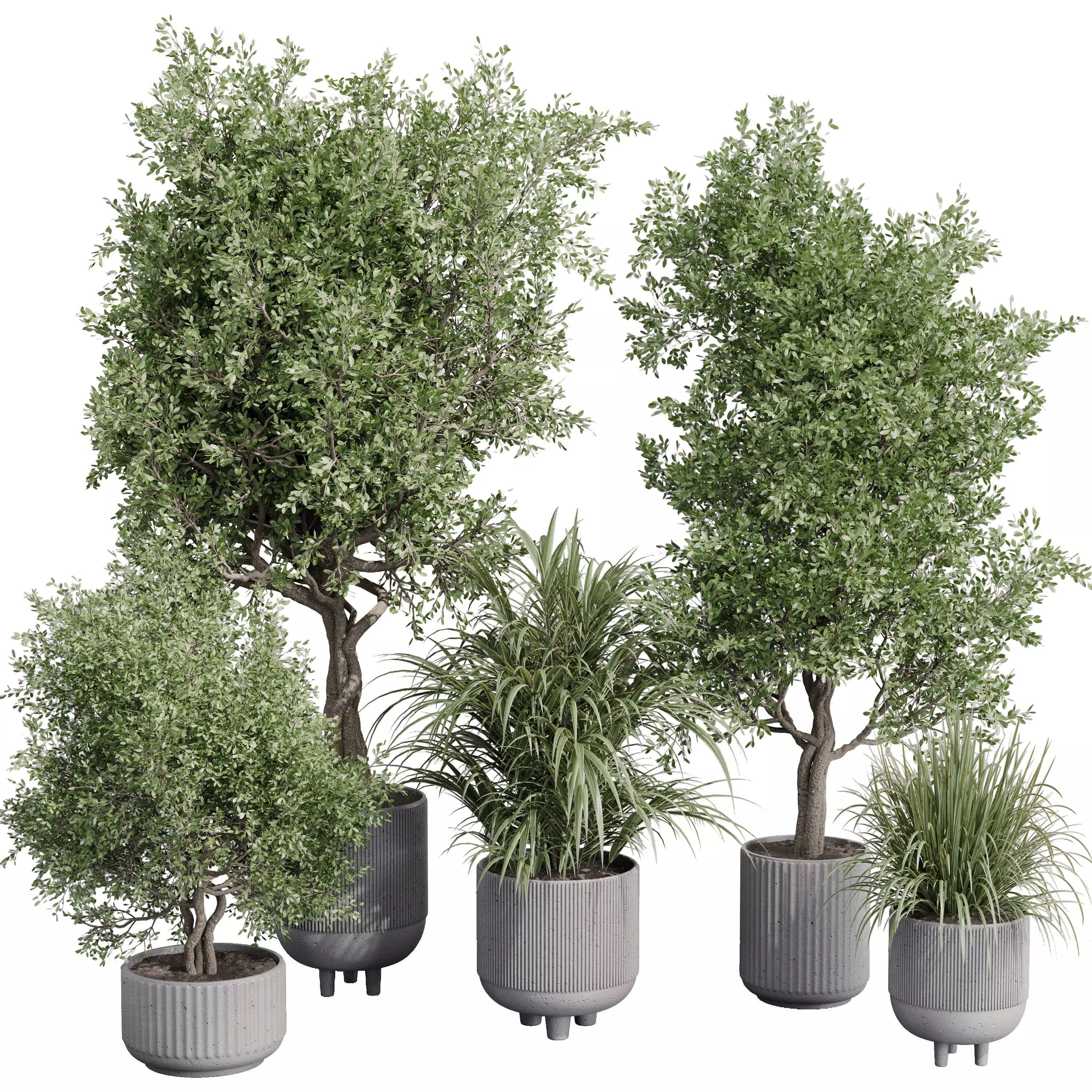 outdoor plant set 180 plant palm tree grass vase dirty concrete Low-poly 3D model