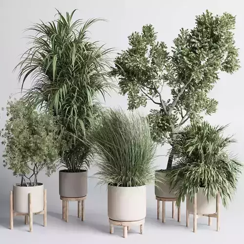  indoor plant set 427 pot plant palm grass concrete dirt vase